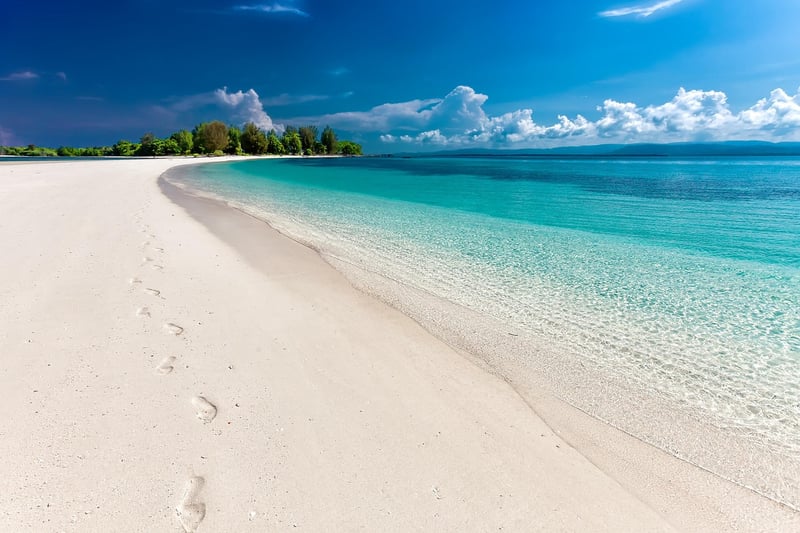 Beach Reception Setup